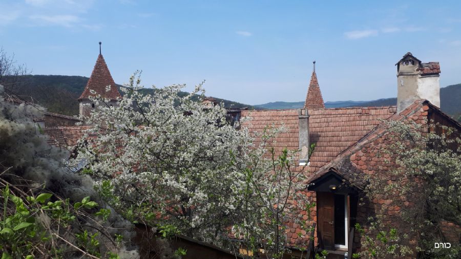 רומניה פסח 2019